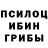 Псилоцибиновые грибы Psilocybine cubensis Belyaev,6:26
