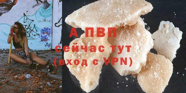 ешки Богданович