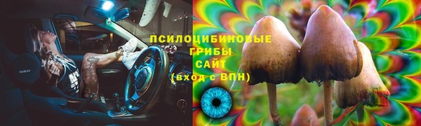 стаф Богородск