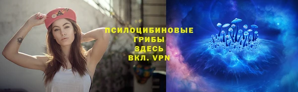 ешки Богданович