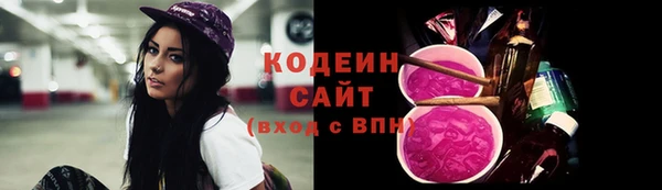 хмурый Богородицк