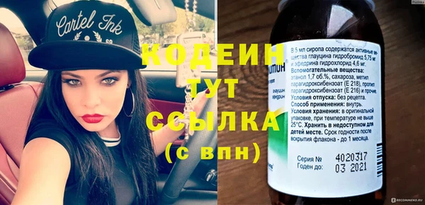 хмурый Богородицк