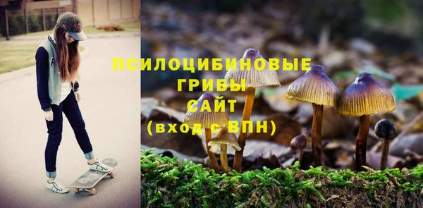 стаф Богородск
