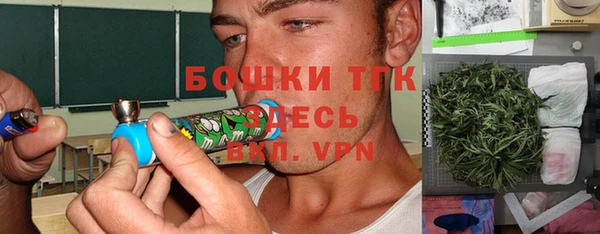 хмурый Богородицк