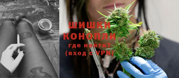 стаф Богородск