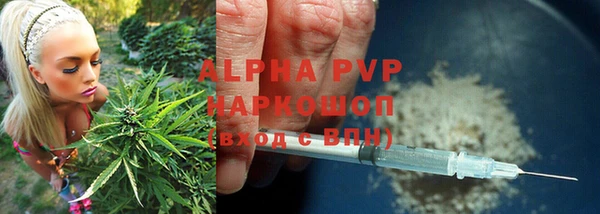 стаф Богородск