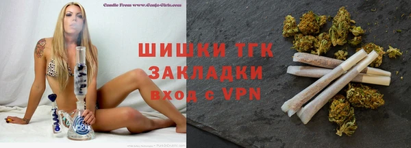 хмурый Богородицк