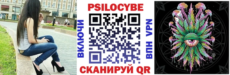 где продают наркотики  Дмитриев  Псилоцибиновые грибы Psilocybine cubensis 